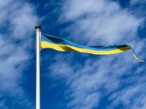 Mehr über den Artikel erfahren Schweden wieder auf dem Sonderweg