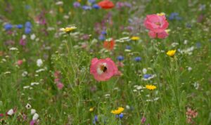 Mehr über den Artikel erfahren In eigener Sache: Umstellung unseres Blogs